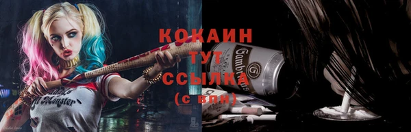 ECSTASY Горняк