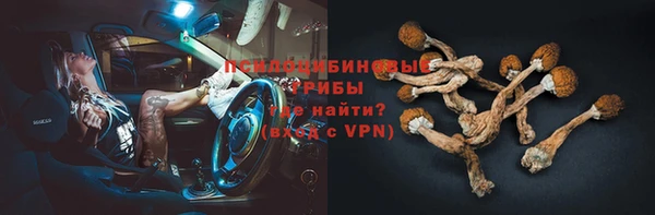 первитин Гусев