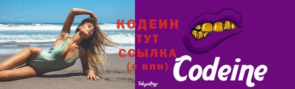 первитин Гусев