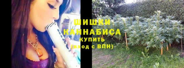 первитин Гусев